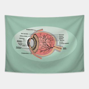 National Eye Care Month, Eye Diagram Tapestry