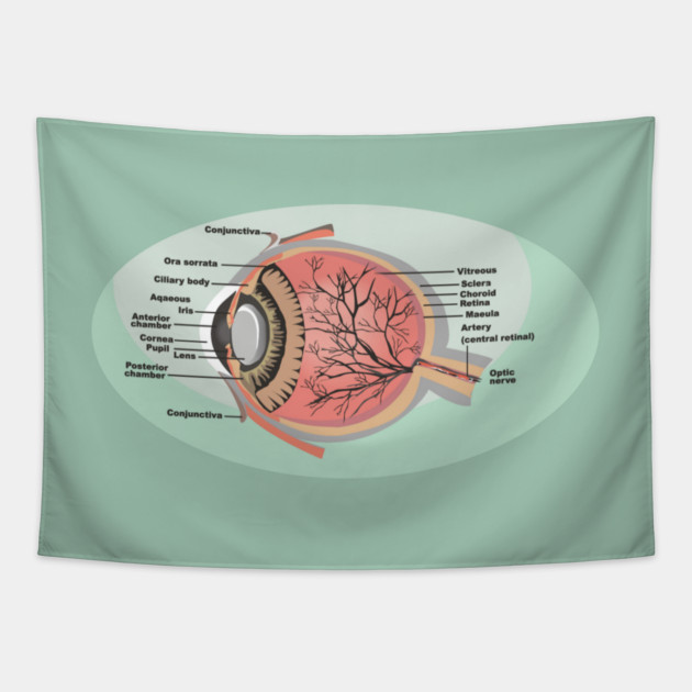 National Eye Care Month, Eye Diagram Tapestry by HolidayBug