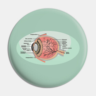 National Eye Care Month, Eye Diagram Pin