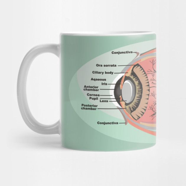 National Eye Care Month, Eye Diagram by HolidayBug