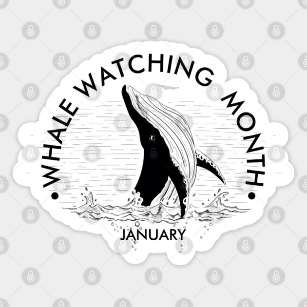 Whale Watching Month, humpback whale breaching Sticker by HolidayBug