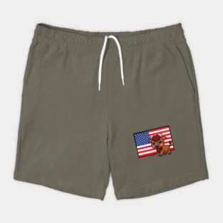 USA Flag with Bison EST 1776 Shorts