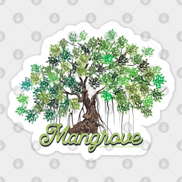 Mangrove Conservation Sticker by HolidayBug