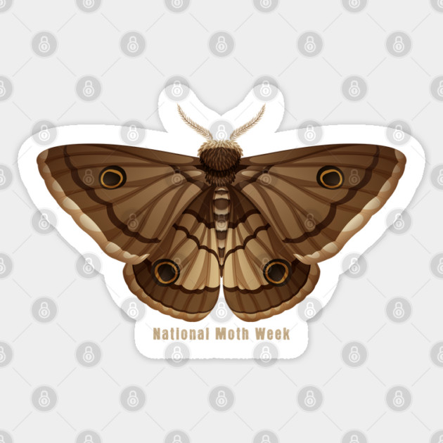 National Moth Week Sticker by HolidayBug