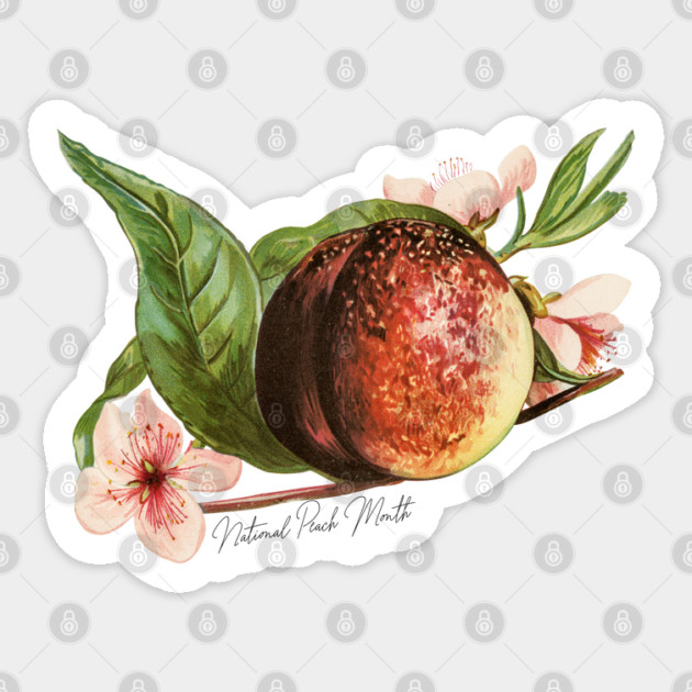 National Peach Month Sticker by HolidayBug