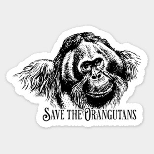 International Orangutan Day Sticker