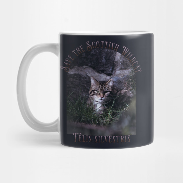 Save the Scottish Wildcat by HolidayBug