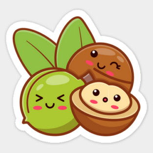 Cute Macadamia Nuts Sticker