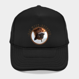 Bat Week, flying fox Hat