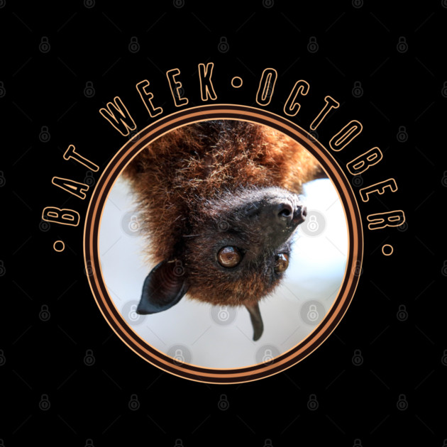 Bat Week, flying fox by HolidayBug