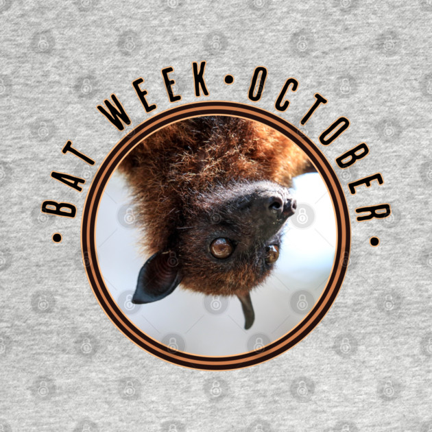 Bat Week, flying fox by HolidayBug