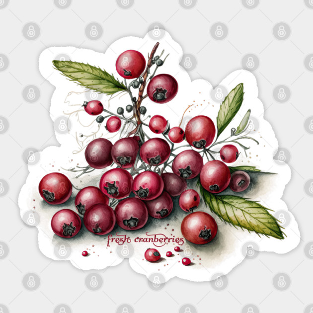 Botanical Fresh Cranberries Sticker by HolidayBug
