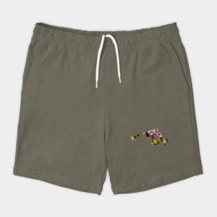 Maryland Typo Map Shorts
