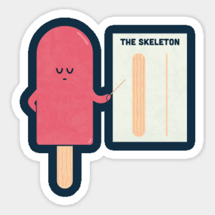 Anatomy Magnet