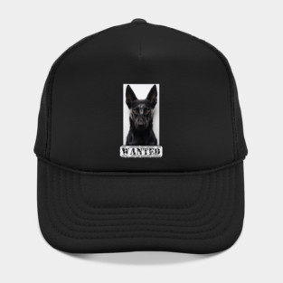 Malinois Wanted Hat