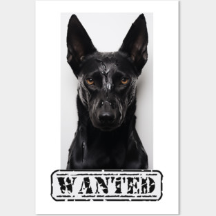 Malinois Wanted Posters and Art