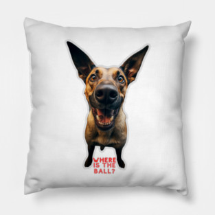 Where is the Ball? Pillow