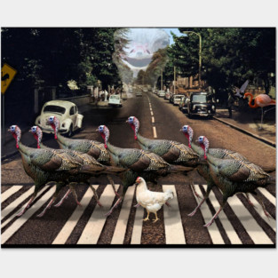 Abbey Road Without Beatles but with Birds Posters and Art