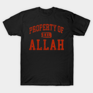 allah (distressed) T-Shirt