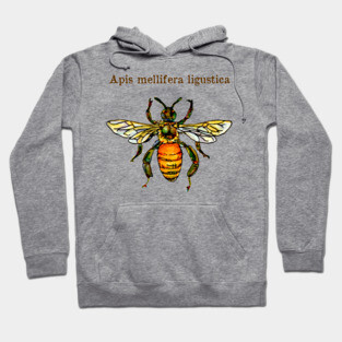 Italian honey bee Hoodie