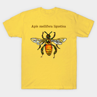 Italian honey bee T-Shirt