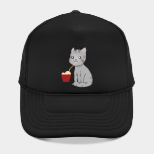 Kawaii Gray Cat Eating Ramen, Cat Lover Hat
