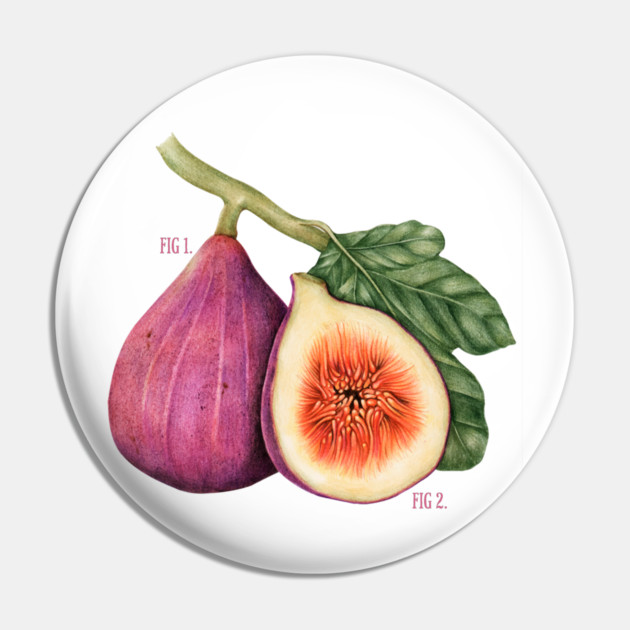 Funny Vintage Botanical Figs Pin by HolidayBug