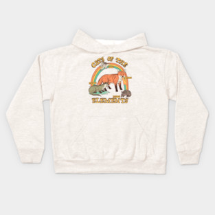 Cats Of The Elements Kids Hoodie