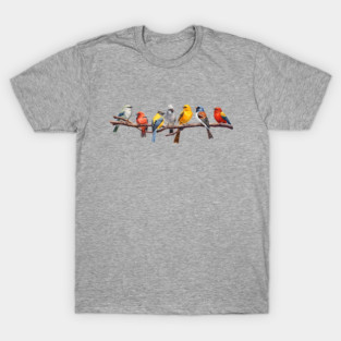 Backyard Bird Watcher Birder Songbirds on a Branch T-Shirt