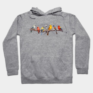 Backyard Bird Watcher Birder Songbirds on a Branch Hoodie