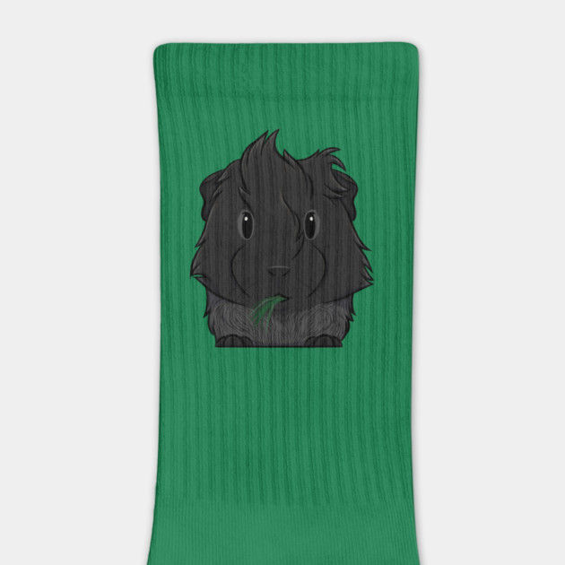 Black Roan Abyssinian Guinea Pig by DeguArts