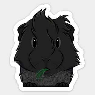 Black Roan Abyssinian Guinea Pig Magnet
