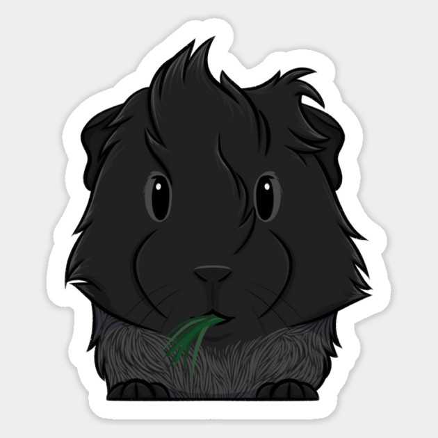 Black Roan Abyssinian Guinea Pig Magnet by DeguArts