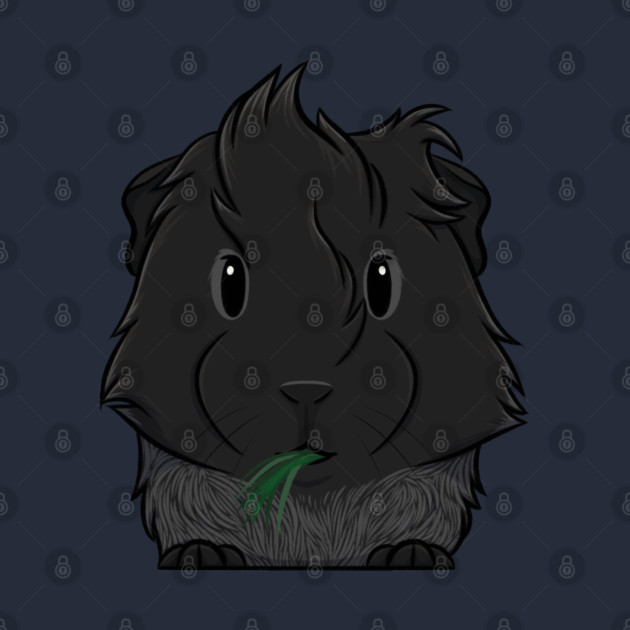 Black Roan Abyssinian Guinea Pig by DeguArts