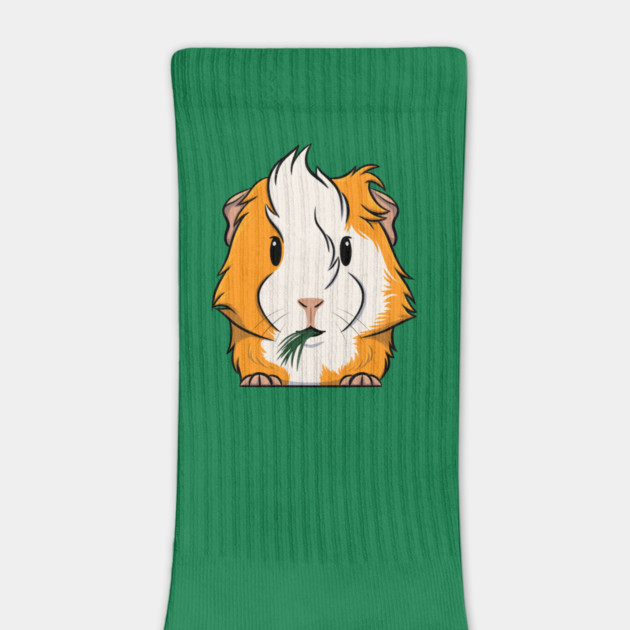 Orange/White Abyssinian Guinea Pig by DeguArts