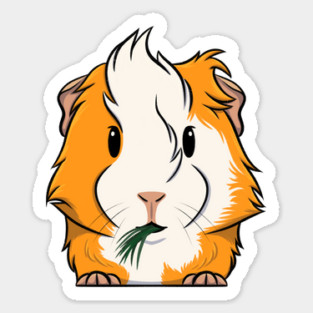 Orange/White Abyssinian Guinea Pig Magnet
