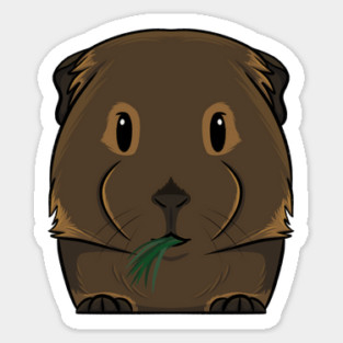 Brown Smooth Coat Guinea Pig Magnet