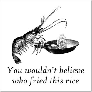 Shrimp Fried Rice Posters and Art