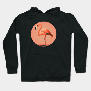 Pink Flamingo Artwork, Love Flamingos Hoodie