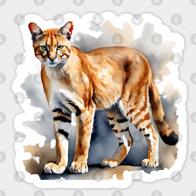 Abstract watercolor of an African Golden Cat Sticker by BirdsnStuff