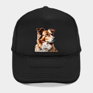 Brown and White Collie Dog with Brown Calm Eyes Hat