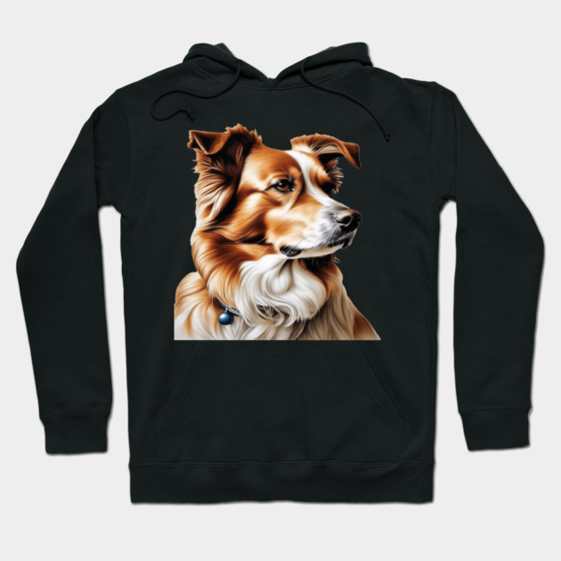 Brown and White Collie Dog with Brown Calm Eyes Hoodie by BirdsnStuff
