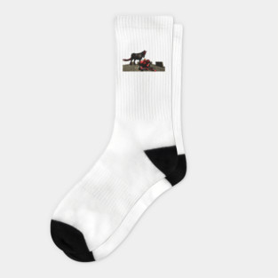 Ogg & Winston II Socks