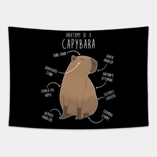 Capybara Anatomy Tapestry