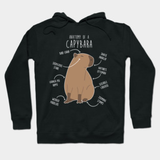 Capybara Anatomy Hoodie