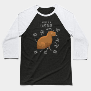 Capybara Anatomy Baseball T-Shirt