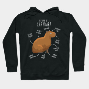 Capybara Anatomy Hoodie