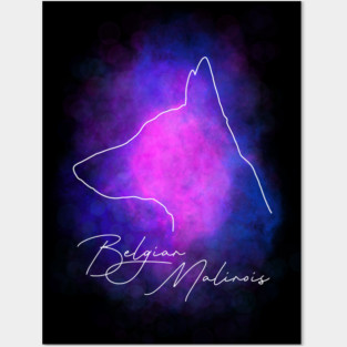 Malinois Posters and Art