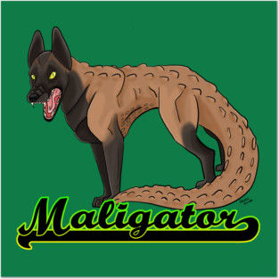 Malinois Posters and Art