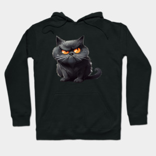 Funny Black Cat, Annoyed looking Cat Hoodie